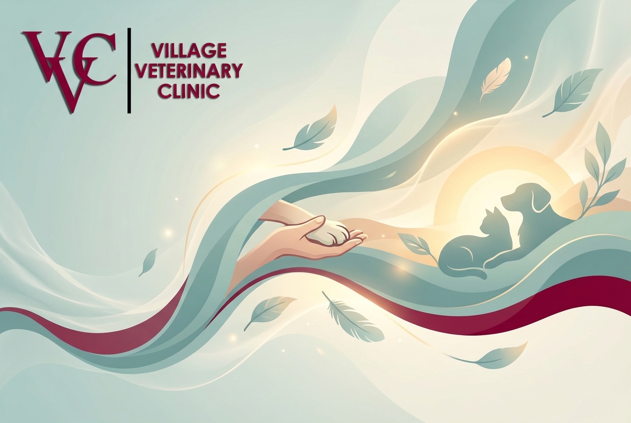 Compassionate pet hospice and euthanasia services in Houston, TX