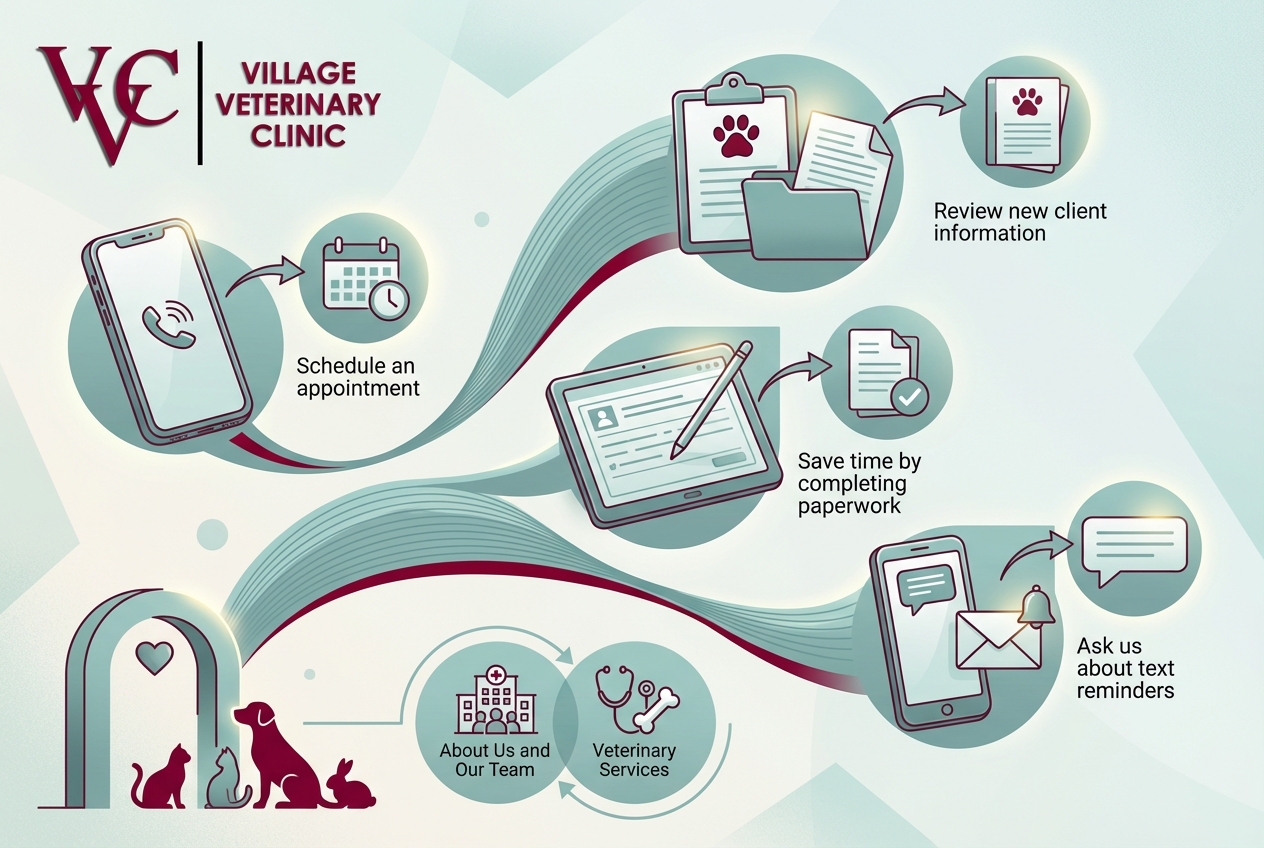 Schedule a veterinary pain management visit in Houston, TX
